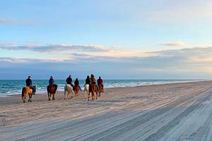 13 Best Beaches in Corpus Christi, TX