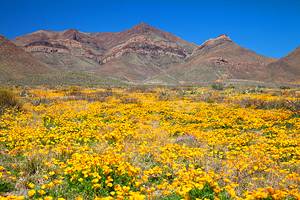 Texas in Pictures: 15 Beautiful Places to Photograph