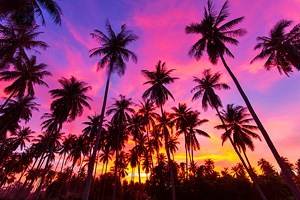 Best Time to Visit Koh Samui