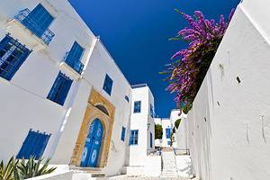 Exploring Sidi Bou Said: Tunis' Picturesque Seaside Suburb