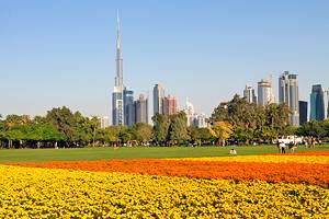 12 Best Parks in Dubai