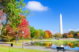 8 Best Parks in Washington, D.C.