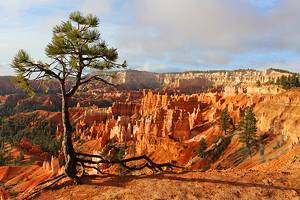 7 Best Campgrounds near Bryce Canyon National Park