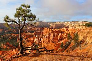 Campgrounds near Bryce Canyon, Utah