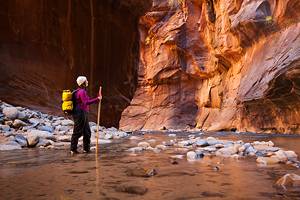 Zion National Park's Best Hiking Trails