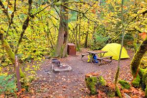Best Campgrounds in Bellingham