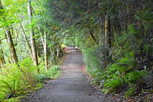 Bellingham's Best Hikes