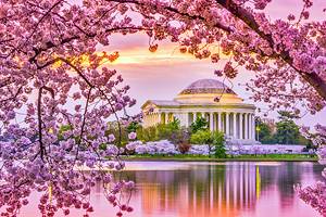 Best Time to Visit Washington, D.C.