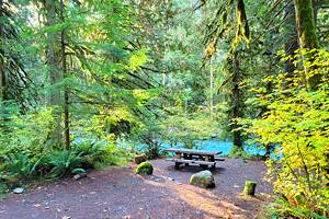Best Places for Camping at Mt. Baker