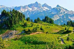 Best Campgrounds in Washington State