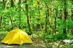 14 Best Campgrounds at North Cascades National Park