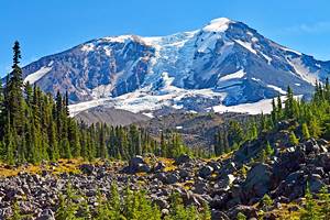 Washington State's Best National Forests