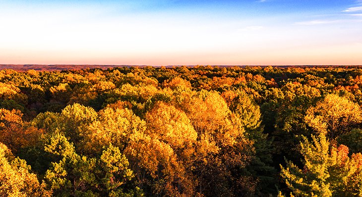 Hoosier National Forest