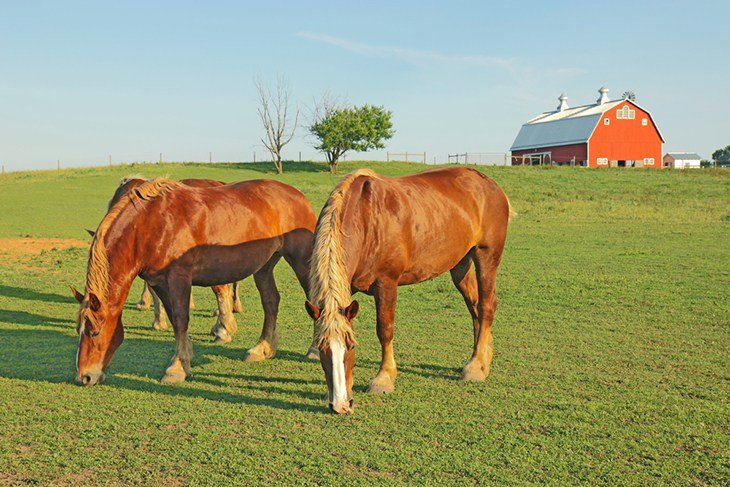 The Farm at Prophetstown