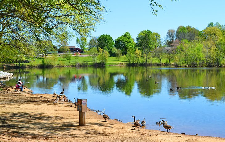 Basil Griffin Park