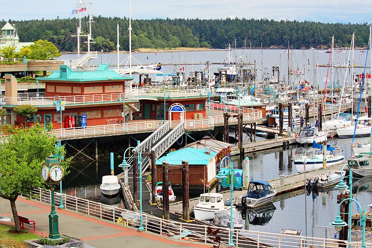 11 Top Rated Things To Do In Nanaimo Bc Planetware