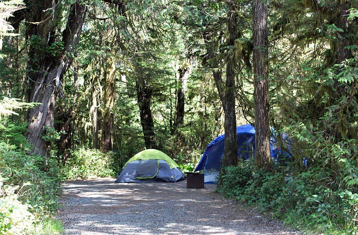 7 campamentos mejor calificados en Tofino, BC