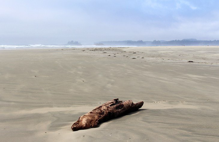 Combers Beach Trail