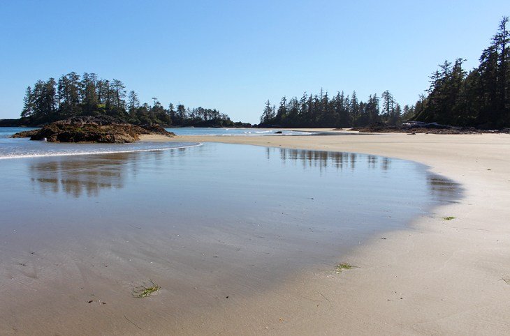 Tofino Tide Chart