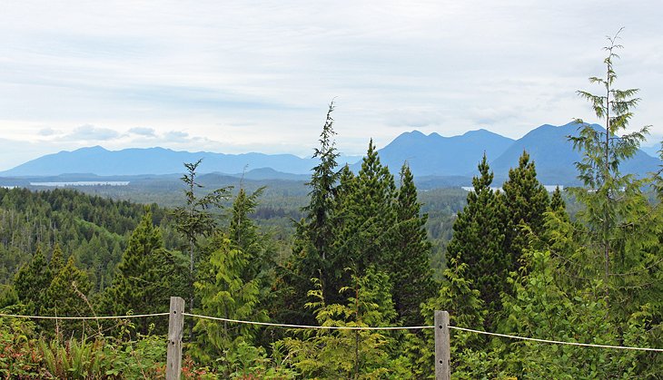 View from Radar Hill