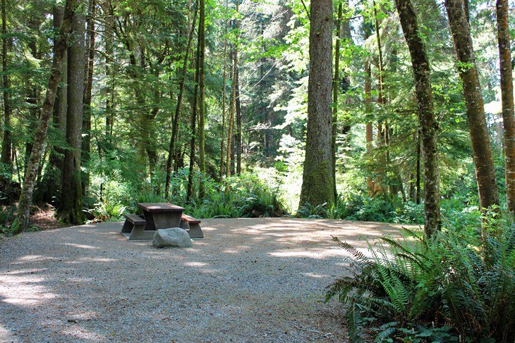 Campsite at French Beach Provincial Park