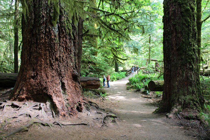 10 rutas de senderismo mejor valoradas en la isla de Vancouver, BC