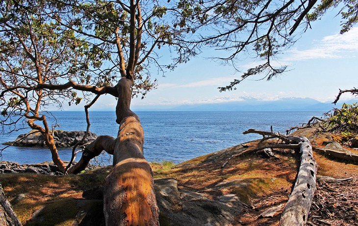 Coast Trail near Aylard Farm