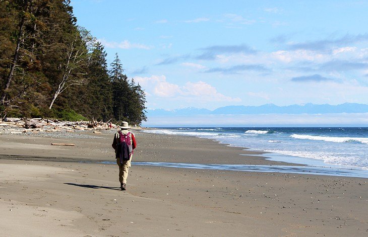 10 rutas de senderismo mejor valoradas en la isla de Vancouver, BC