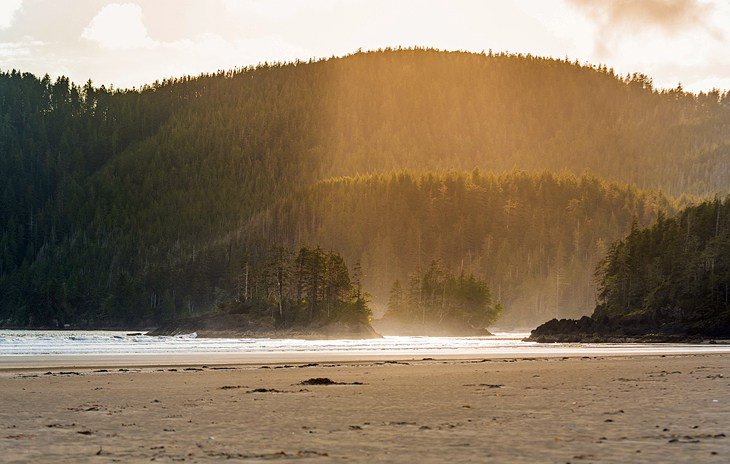 San Josef Bay Trail