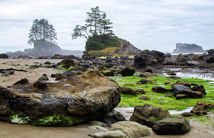 West Coast Trail