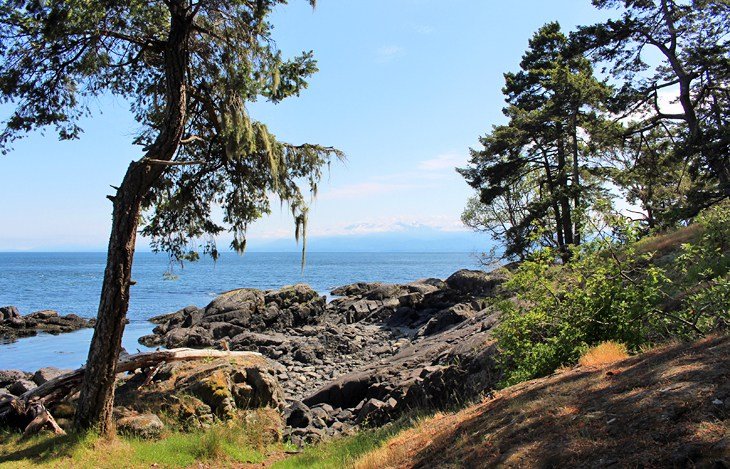 Coast Trail near Aylard Farm