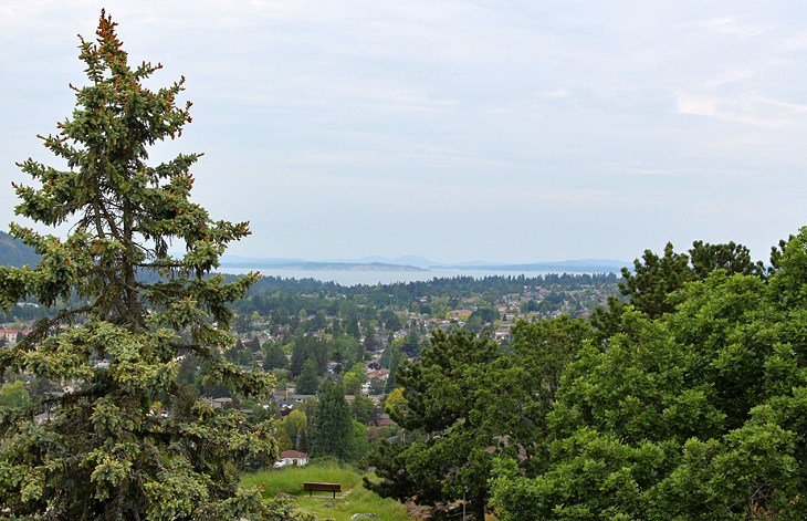 View from Mount Tolmie