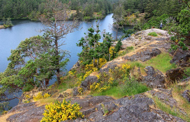 Thetis Lake Hiking Trail