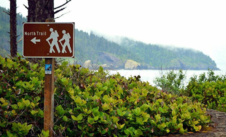 Hiking trails fan out from the campground at Cape Lookout