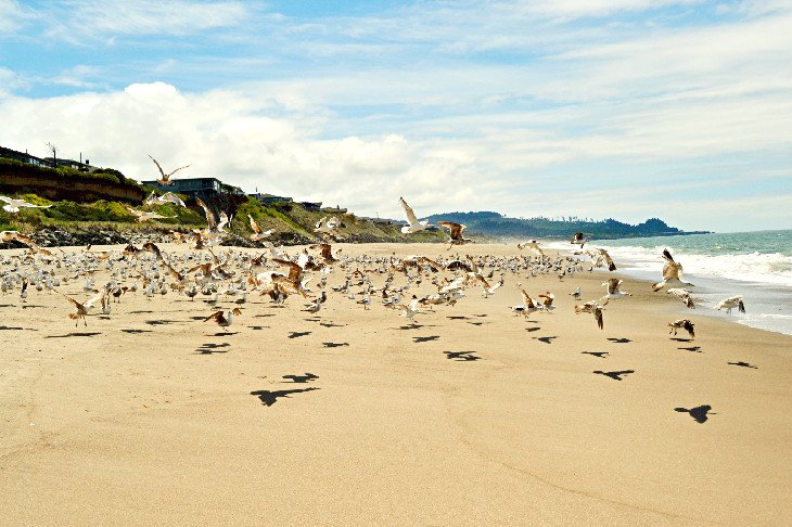 Gleneden Beach