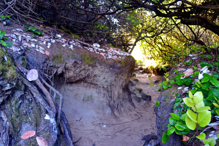 The trail leading to Hobbit Beach