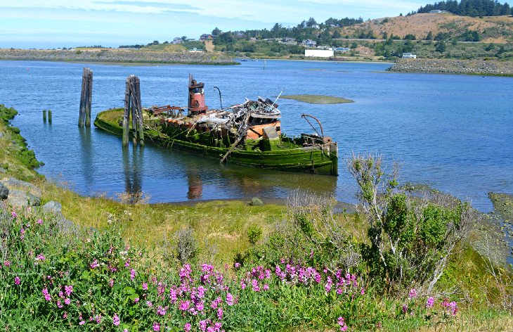The wreck of the Mary D. Hume in Gold Beach