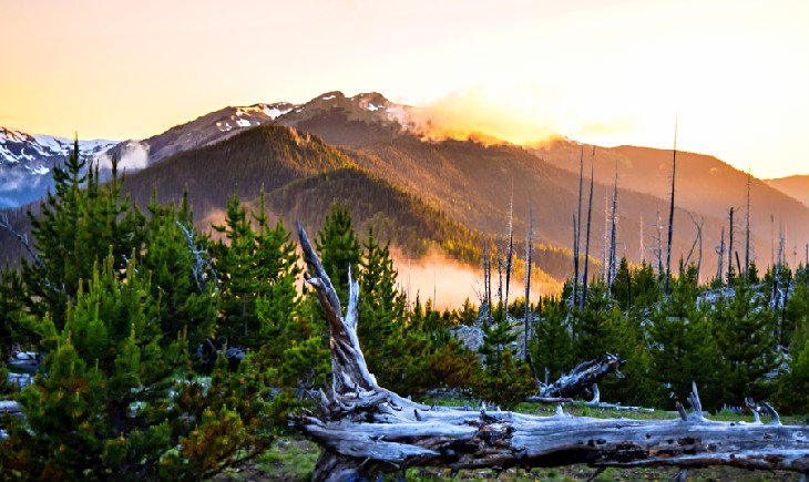 The view from Deer Park Campground