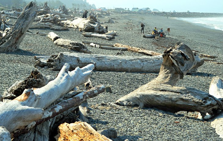 Driftwood on nearby Rialto Beach