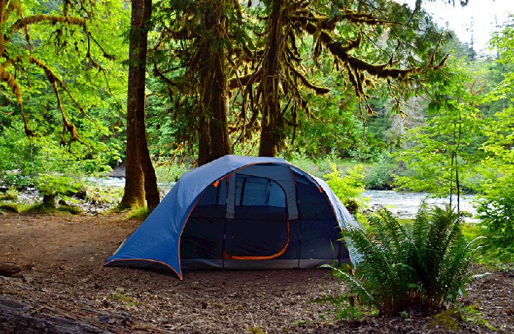 12 campamentos mejor calificados en el Parque Nacional Olympic