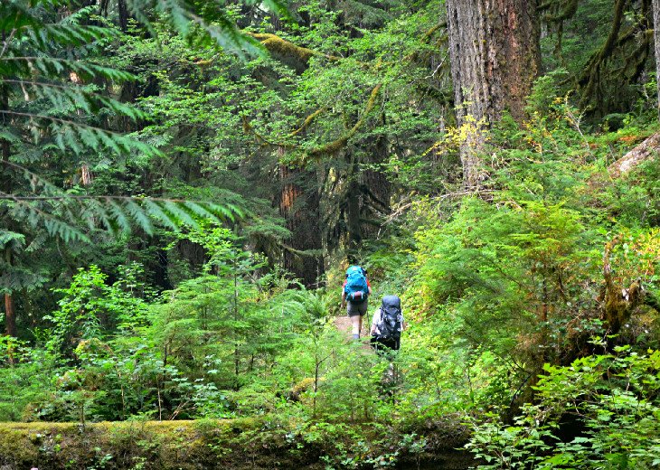 12 rutas de senderismo mejor valoradas en el Parque Nacional Olympic