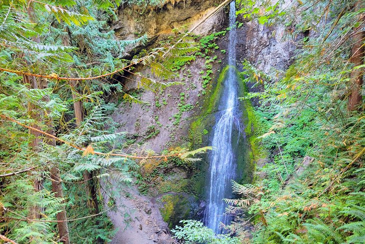 marymere falls trail map