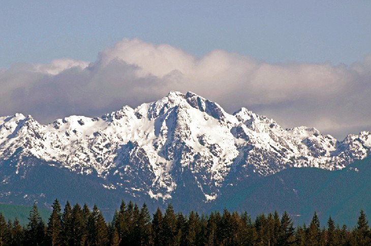 The view from Mount Ellinor