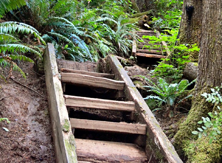 Headland trail feature near Third Beach