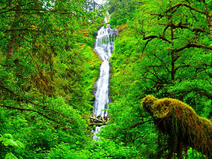 15 cascadas mejor valoradas en Oregón 15 cascadas mejor valoradas en Oregón
