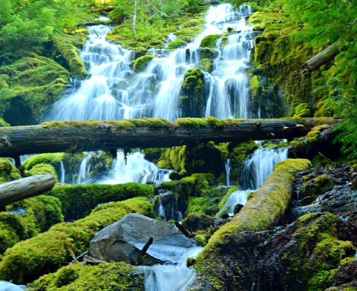 Proxy Falls