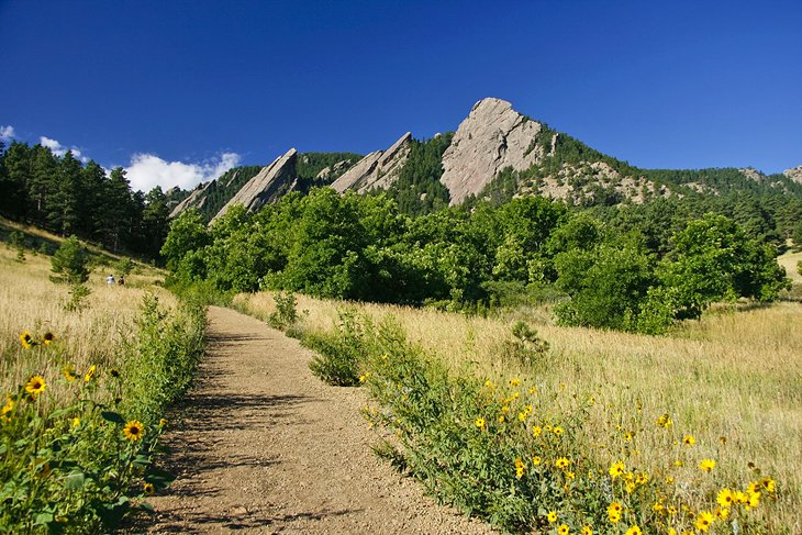 Hiking trail near the Flatirons