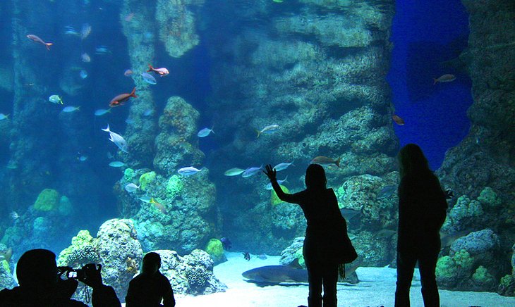 Downtown Aquarium in Denver