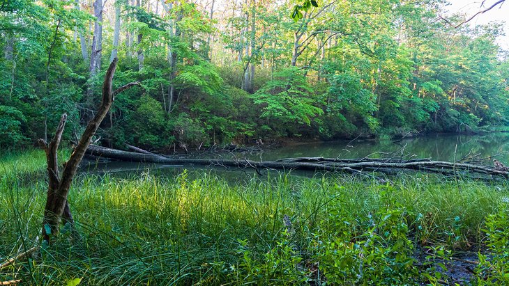 Voiliers sur la rivière South au large du parc Quiet Waters