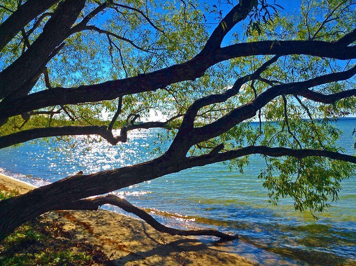 Cheboygan State Park Beach